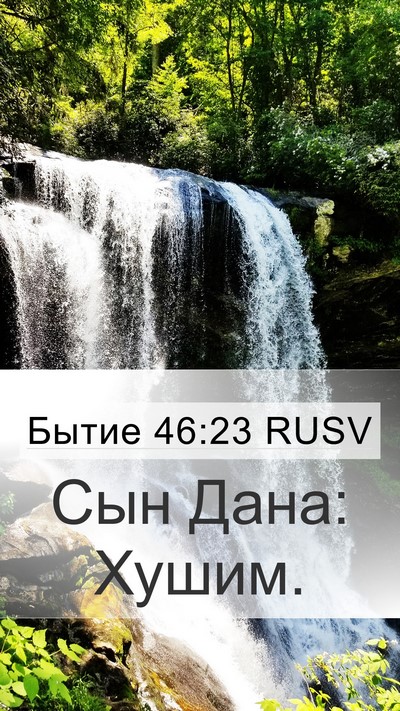 Бытие 46:23 RUSV Bible Verse Image