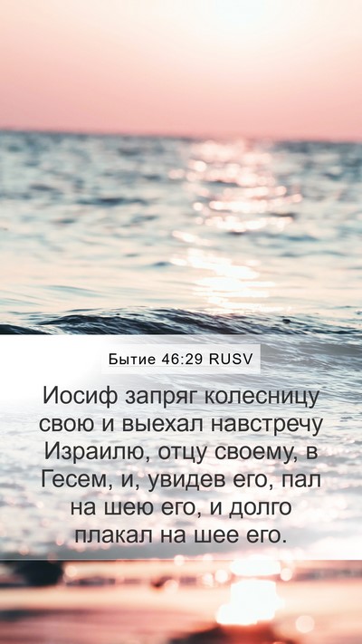 Бытие 46:29 RUSV Bible Verse Image