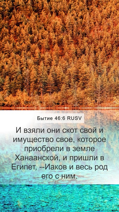 Бытие 46:6 RUSV Bible Verse Image