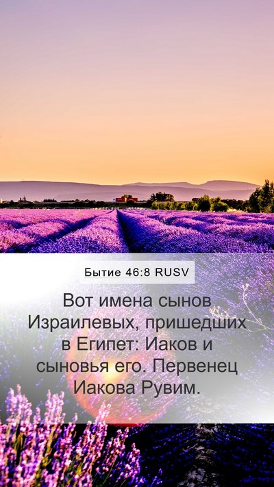 Бытие 46:8 RUSV Bible Verse Image