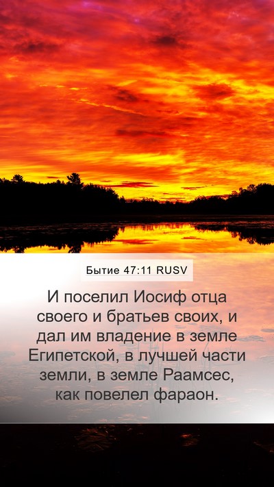 Бытие 47:11 RUSV Bible Verse Image