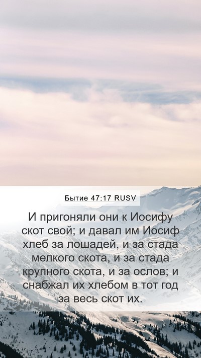 Бытие 47:17 RUSV Mobile Phone Wallpaper - И пригоняли они к Иосифу - Mobile Bible Verse Wallpaper