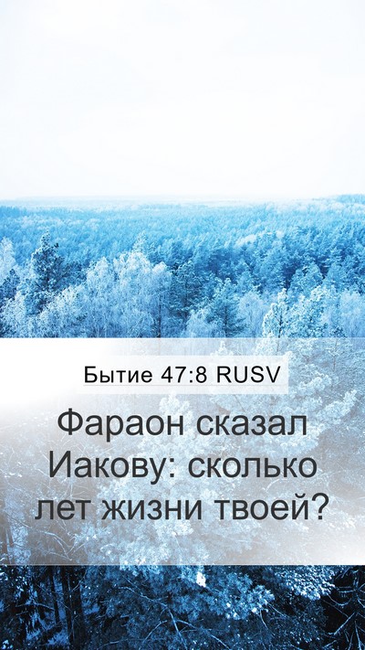 Бытие 47:8 RUSV Mobile Phone Wallpaper - Фараон сказал Иакову: - Mobile Bible Verse Wallpaper