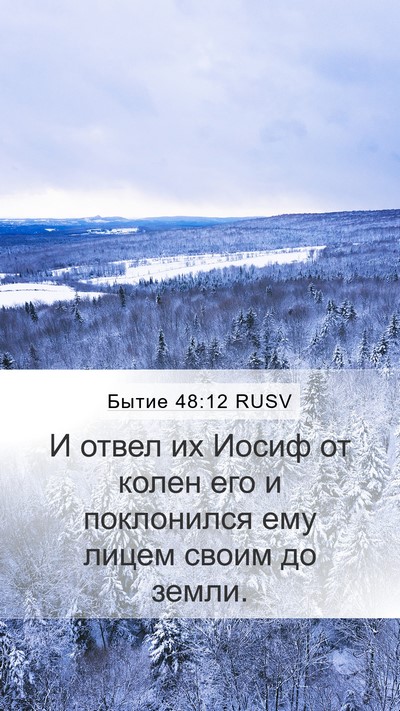 Бытие 48:12 RUSV Mobile Phone Wallpaper - И отвел их Иосиф от колен - Mobile Bible Verse Wallpaper