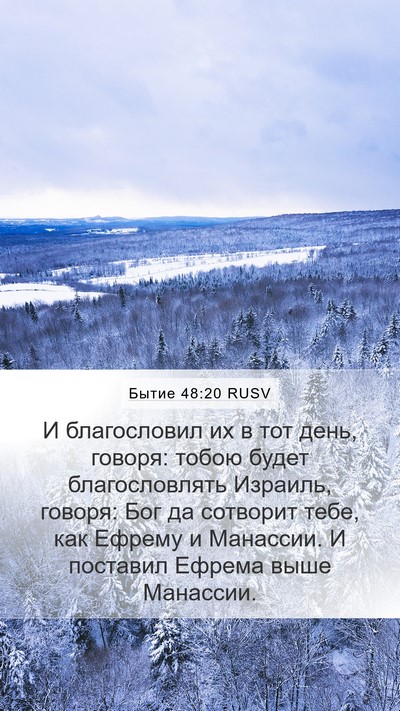 Бытие 48:20 RUSV Mobile Phone Wallpaper - И благословил их в тот - Mobile Bible Verse Wallpaper