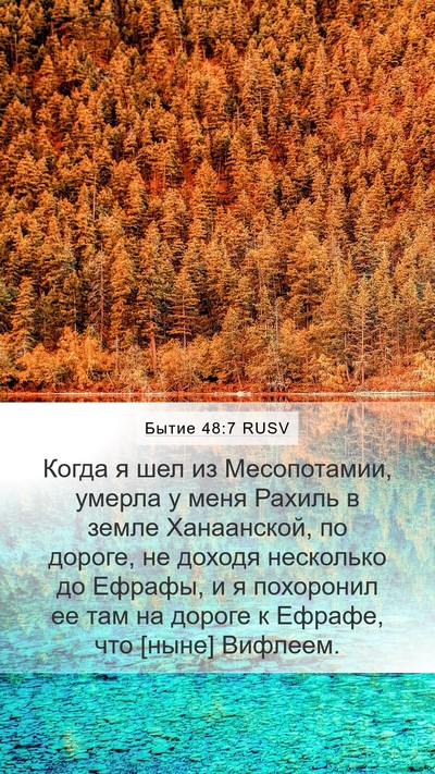 Бытие 48:7 RUSV Bible Verse Image