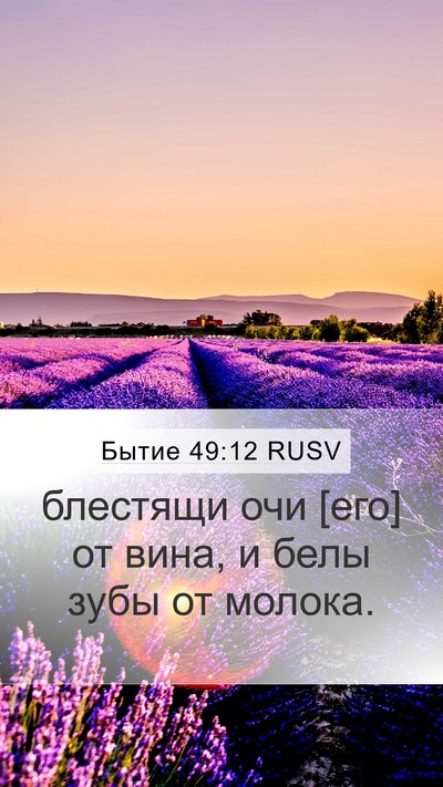 Бытие 49:12 RUSV Mobile Phone Wallpaper - блестящи очи [его] от вина, - Mobile Bible Verse Wallpaper