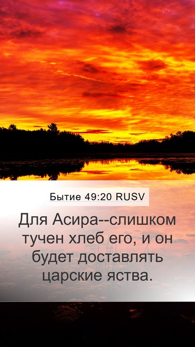 Бытие 49:20 RUSV Bible Verse Image