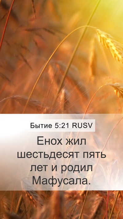 Бытие 5:21 RUSV Bible Verse Image