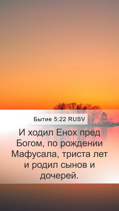 Бытие 5:22 RUSV Bible Verse Image