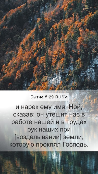 Бытие 5:29 RUSV Bible Verse Image