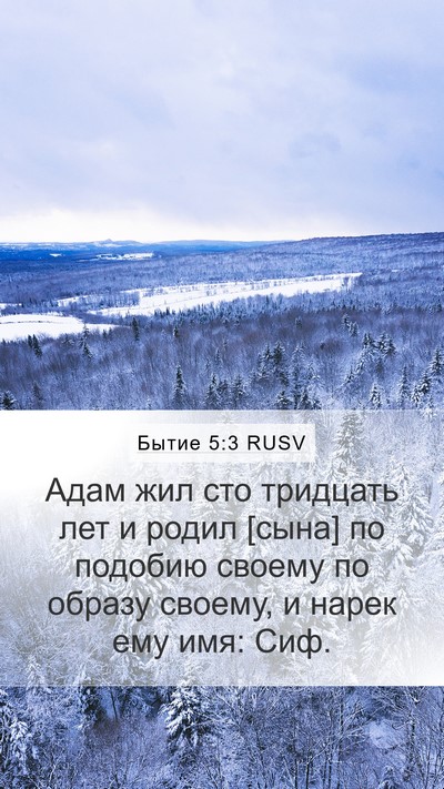 Бытие 5:3 RUSV Bible Verse Image