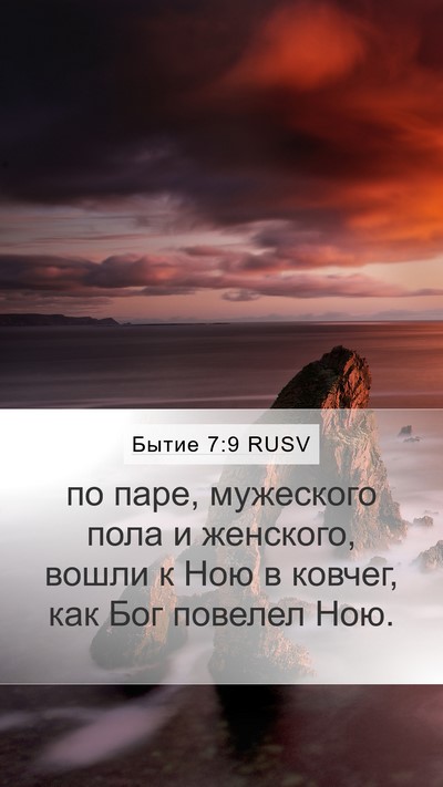 Бытие 7:9 RUSV Mobile Phone Wallpaper - по паре, мужеского пола и - Mobile Bible Verse Wallpaper