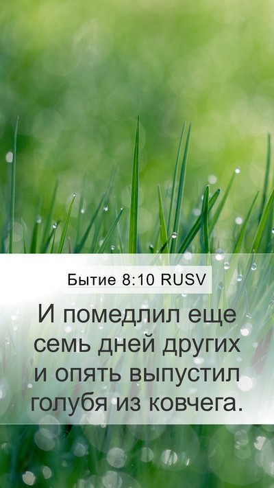 Бытие 8:10 RUSV Bible Verse Image