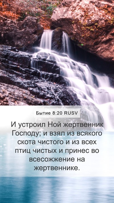 Бытие 8:20 RUSV Bible Verse Image