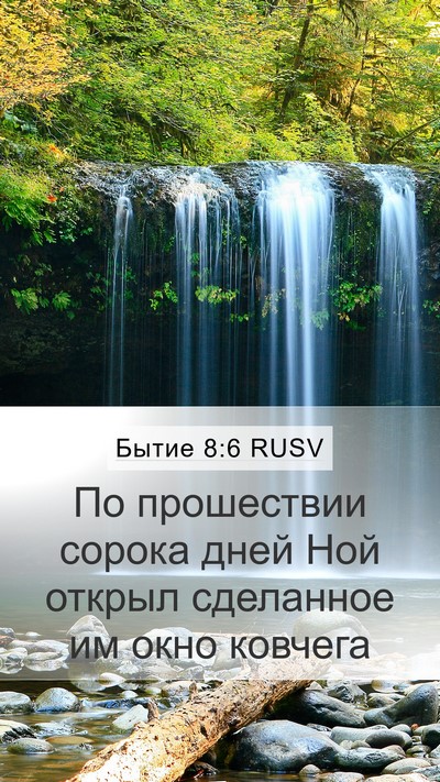 Бытие 8:6 RUSV Bible Verse Image
