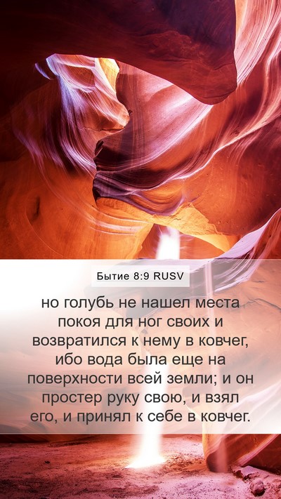 Бытие 8:9 RUSV Bible Verse Image
