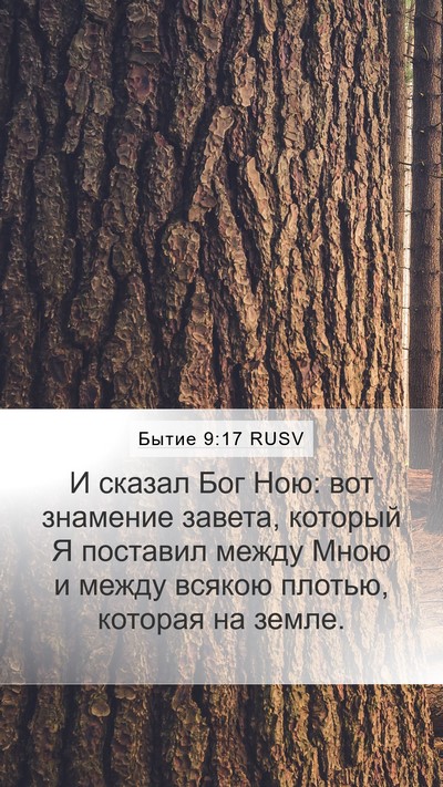 Бытие 9:17 RUSV Mobile Phone Wallpaper - И сказал Бог Ною: вот - Mobile Bible Verse Wallpaper