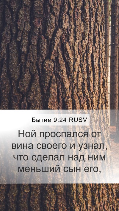 Бытие 9:24 RUSV Mobile Phone Wallpaper - Ной проспался от вина - Mobile Bible Verse Wallpaper