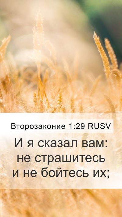 Второзаконие 1:29 RUSV Mobile Phone Wallpaper - И я сказал вам: не - Mobile Bible Verse Wallpaper
