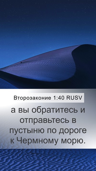 Второзаконие 1:40 RUSV Bible Verse Image