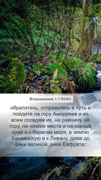 Второзаконие 1:7 RUSV Bible Verse Image