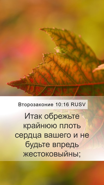 Второзаконие 10:16 RUSV Bible Verse Image