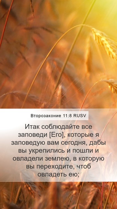 Второзаконие 11:8 RUSV Mobile Phone Wallpaper - Итак соблюдайте все - Mobile Bible Verse Wallpaper