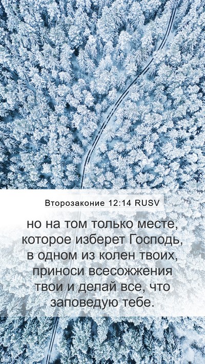 Второзаконие 12:14 RUSV Bible Verse Image