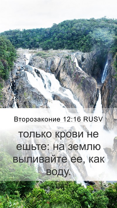 Второзаконие 12:16 RUSV Bible Verse Image