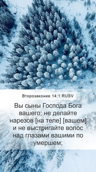 Второзаконие 14:1 RUSV Bible Verse Image