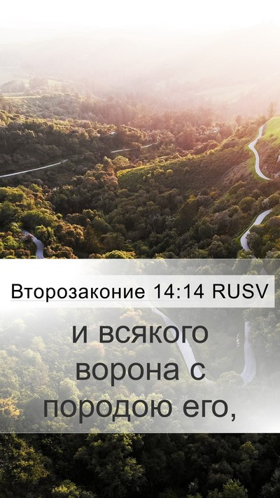 Второзаконие 14:14 RUSV Mobile Phone Wallpaper - и всякого ворона с породою - Mobile Bible Verse Wallpaper
