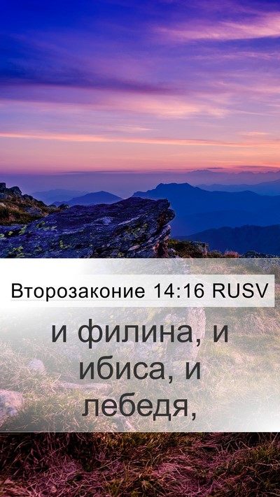 Второзаконие 14:16 RUSV Mobile Phone Wallpaper - и филина, и ибиса, и - Mobile Bible Verse Wallpaper