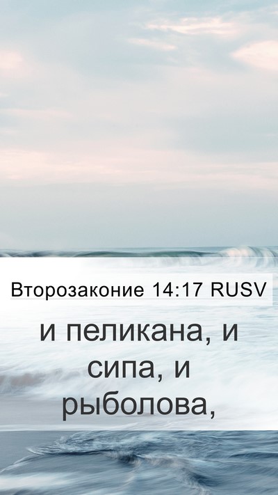 Второзаконие 14:17 RUSV Mobile Phone Wallpaper - и пеликана, и сипа, и - Mobile Bible Verse Wallpaper