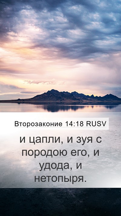Второзаконие 14:18 RUSV Mobile Phone Wallpaper - и цапли, и зуя с породою - Mobile Bible Verse Wallpaper