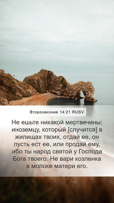 Второзаконие 14:21 RUSV Bible Verse Image