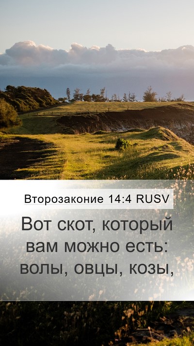 Второзаконие 14:4 RUSV Mobile Phone Wallpaper - Вот скот, который вам можно - Mobile Bible Verse Wallpaper