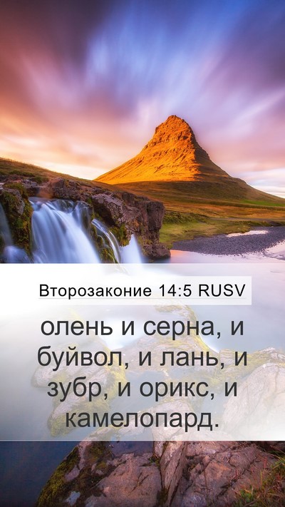 Второзаконие 14:5 RUSV Mobile Phone Wallpaper - олень и серна, и буйвол, и - Mobile Bible Verse Wallpaper