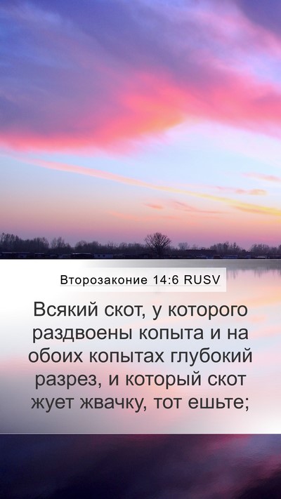 Второзаконие 14:6 RUSV Mobile Phone Wallpaper - Всякий скот, у которого - Mobile Bible Verse Wallpaper