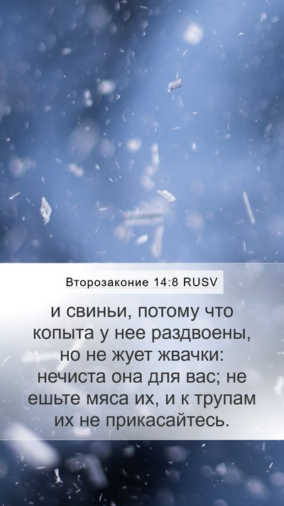 Второзаконие 14:8 RUSV Bible Verse Image