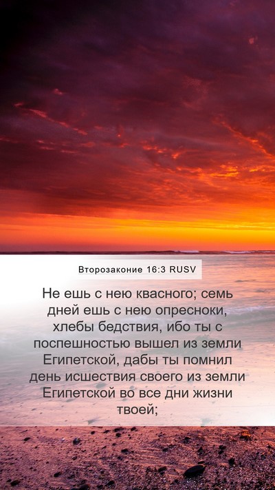 Второзаконие 16:3 RUSV Bible Verse Image