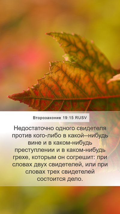 Второзаконие 19:15 RUSV Bible Verse Image