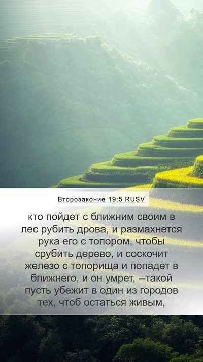 Второзаконие 19:5 RUSV Bible Verse Image