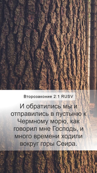 Второзаконие 2:1 RUSV Mobile Phone Wallpaper - И обратились мы и - Mobile Bible Verse Wallpaper