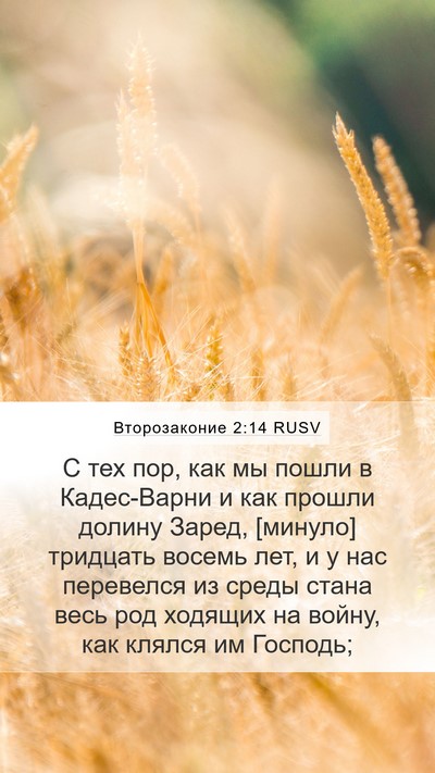 Второзаконие 2:14 RUSV Bible Verse Image