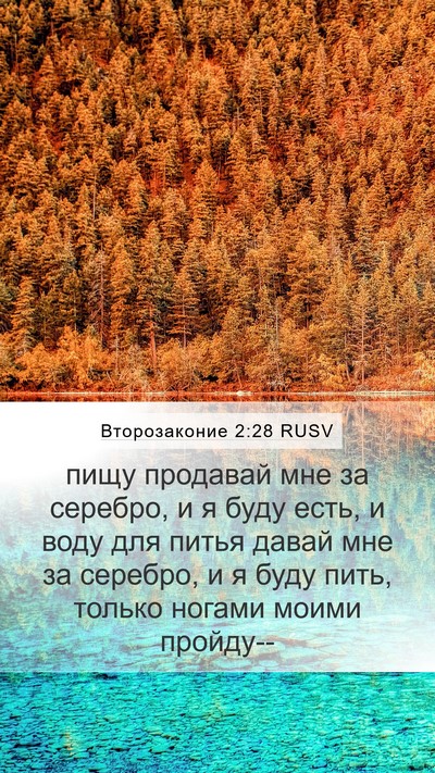 Второзаконие 2:28 RUSV Bible Verse Image