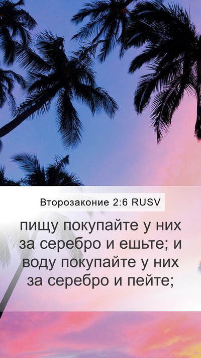 Второзаконие 2:6 RUSV Bible Verse Image