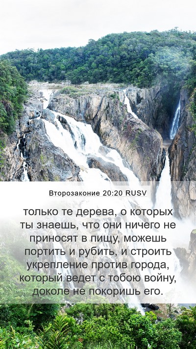 Второзаконие 20:20 RUSV Mobile Phone Wallpaper - только те дерева, о которых - Mobile Bible Verse Wallpaper