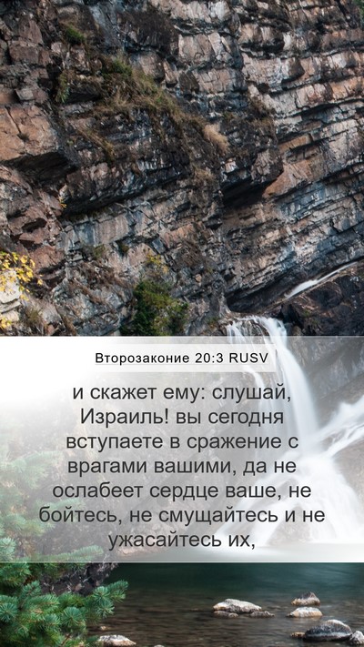 Второзаконие 20:3 RUSV Bible Verse Image