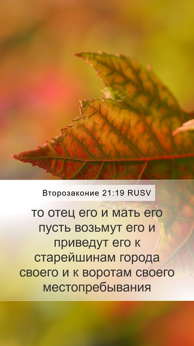 Второзаконие 21:19 RUSV Bible Verse Image